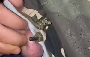 A gloominess Saudi bird has sexual connecting with an Egyptian guy at unworthy the brush big ass